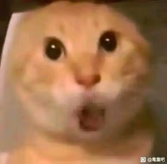 做个任务 1