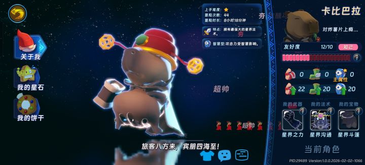 PID 29489截图