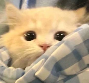 【山海经BD戎姒】大秘境147层攻略