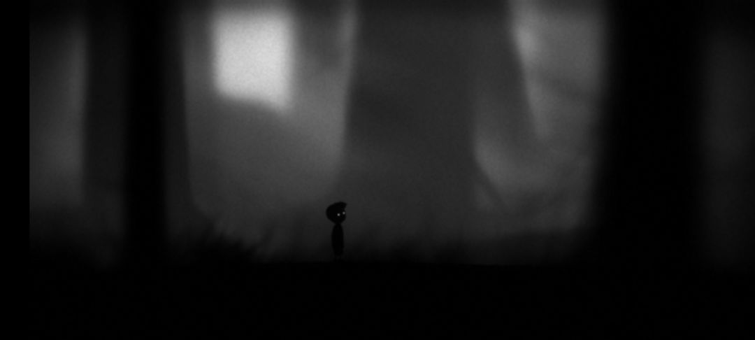 limbo《地狱边境》第九艺术的无限绽放 2
