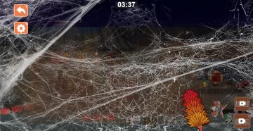 更新来啦！！！