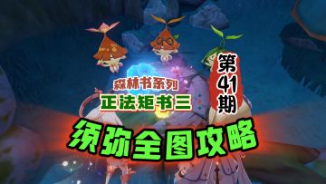 须弥全图41期：森林书正法矩书之终章！