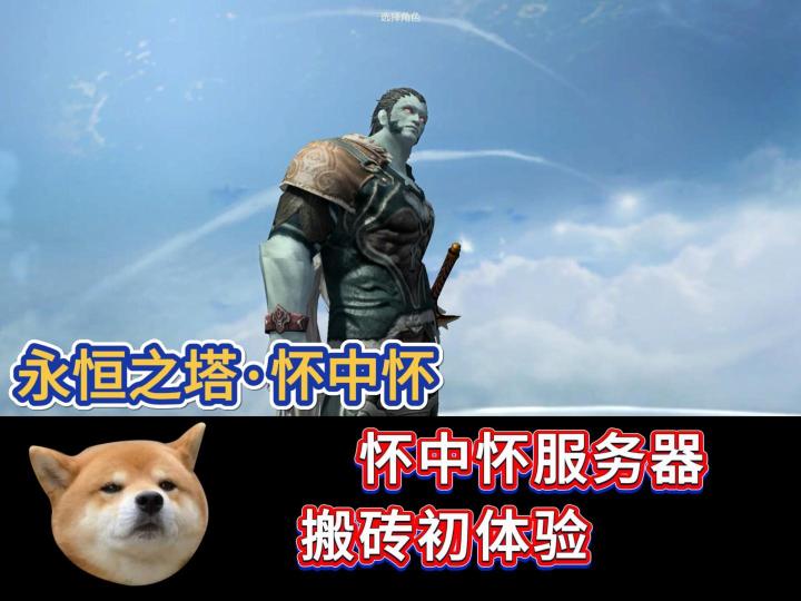 永恒之塔:怀中怀服务器,搬砖初体验截图