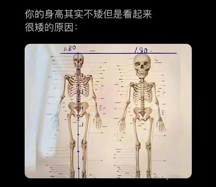目前武馆5职业14套路大概排名 2
