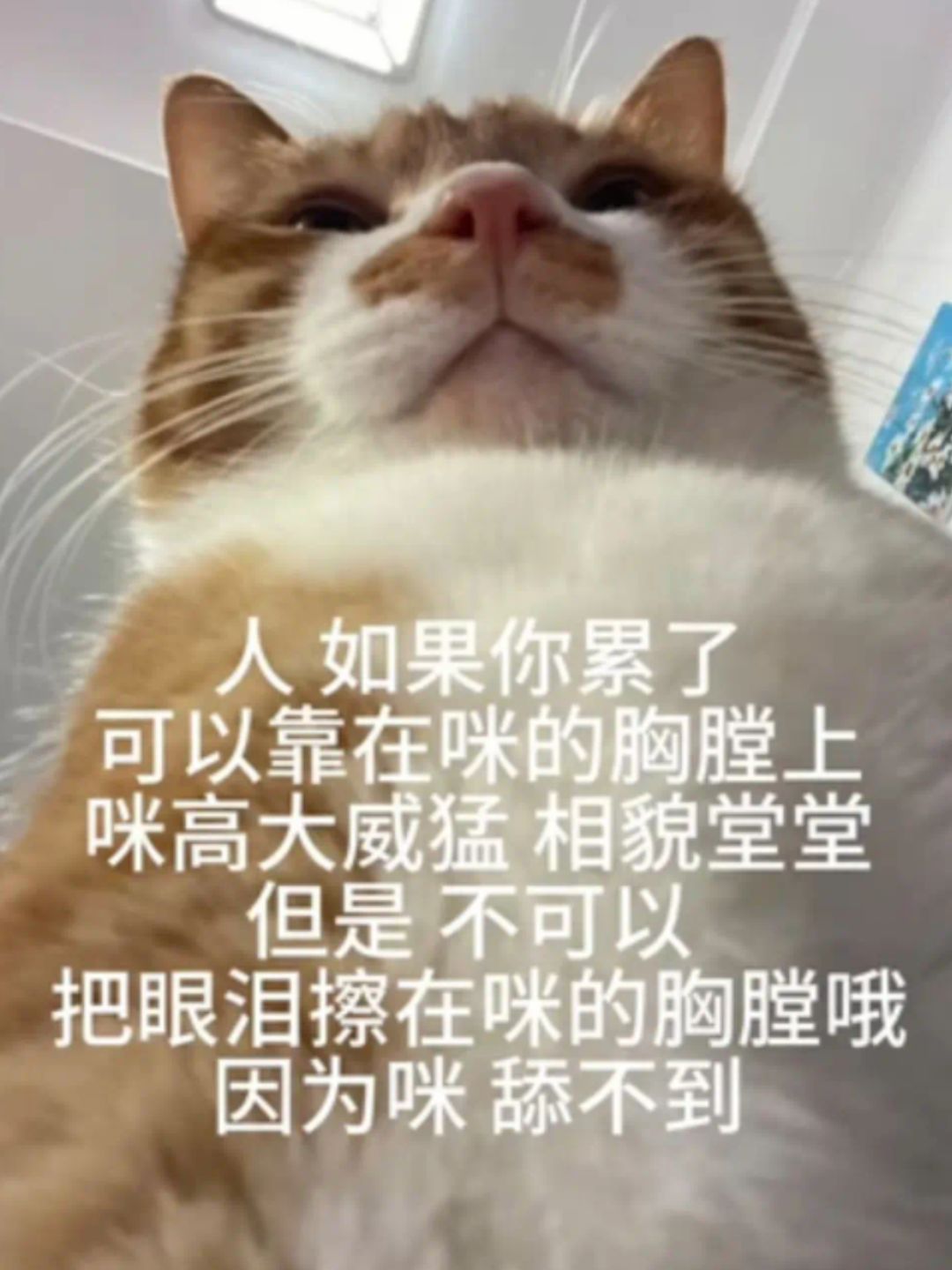 有没有不玩的大佬能给个号 1