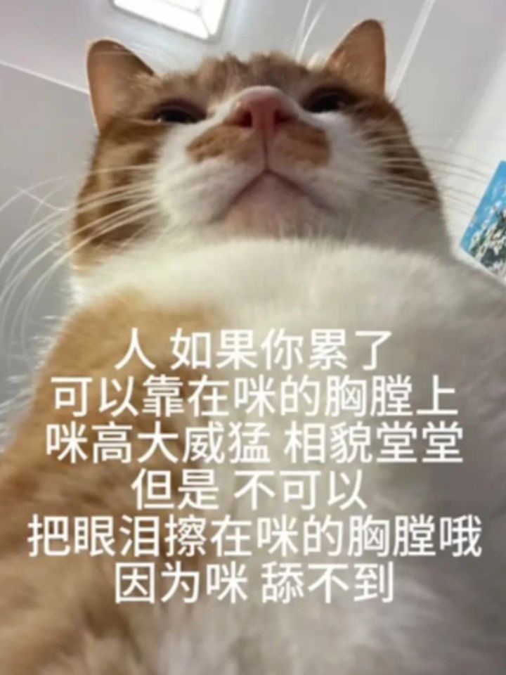 有没有不玩的大佬能给个号截图