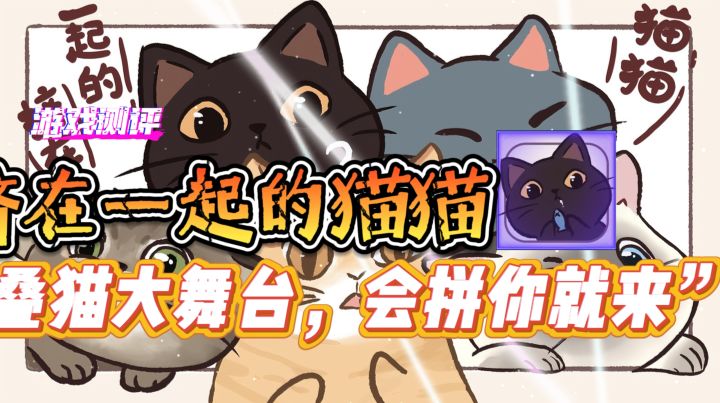 拼图新玩法【挤在一起的猫猫】“叠猫大舞台,会拼你就来”!截图