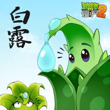 【玉米卷的知识库】白露