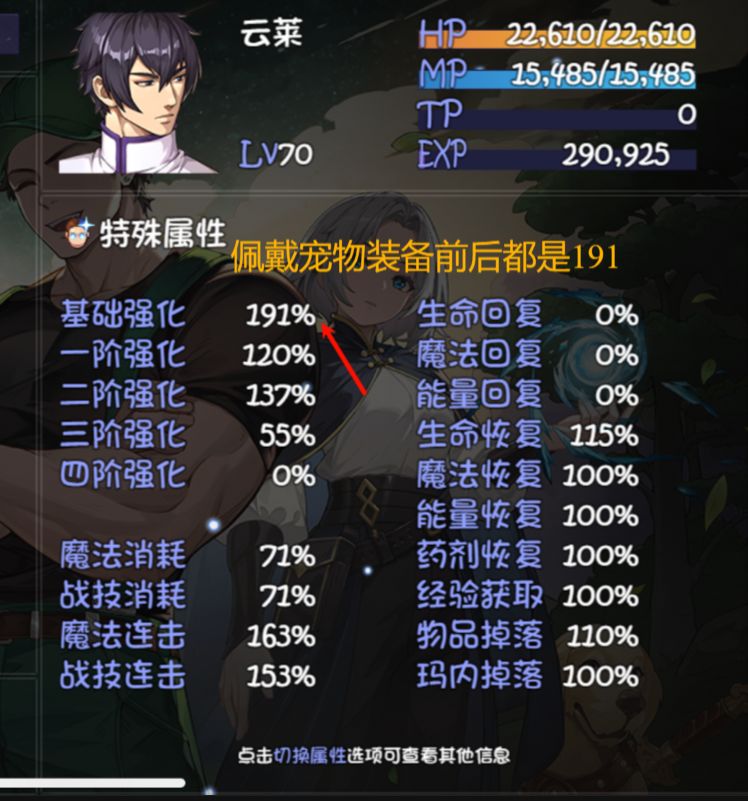 宠物装备词条有的生效有的不生效,是Bug吗 4