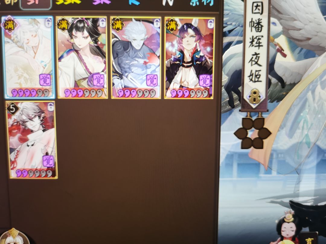 问一下大佬们现在该养什么 3