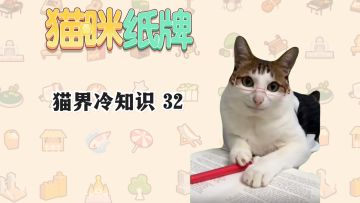 《猫咪纸牌》猫界冷知识 32-- 胡须导航🧭