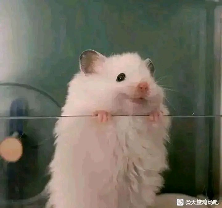 新手求问截图