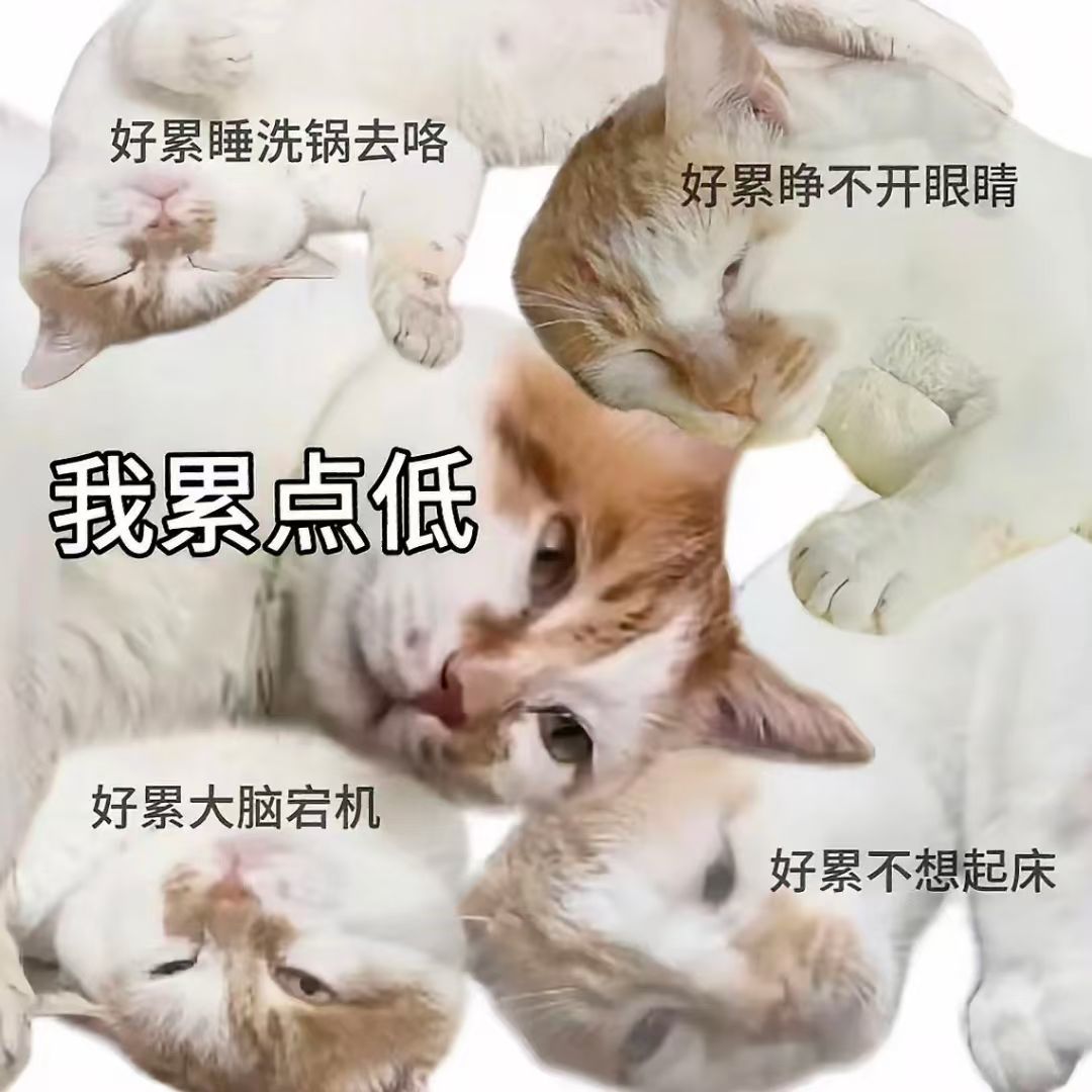 银师傅超凡皮体验 1
