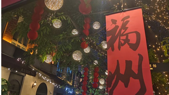 妙手拍花~抓住春天的小尾巴截图