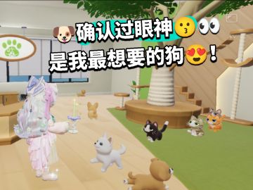 咩哈哈哈哈我终于买到我想要的纯白色狗狗了