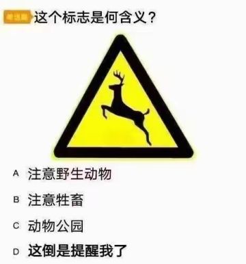 评价一下yxp论坛环境