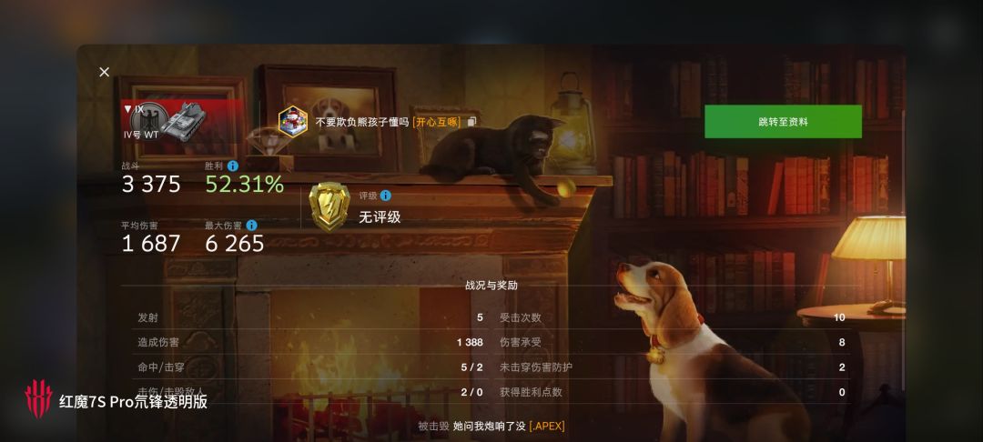 动态图片 10