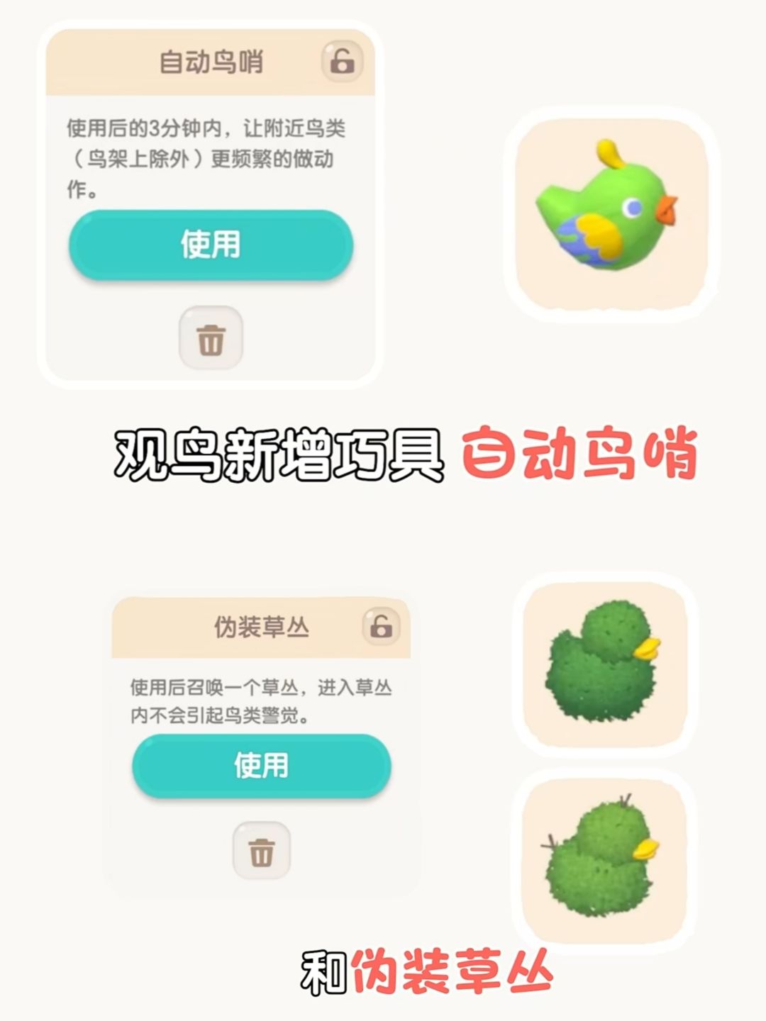 1.20兑换码,观鸟新巧具及鱼,虫,鸟新图鉴 2