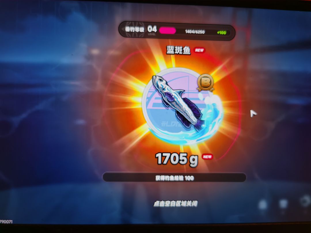 这才是真钓鱼高手 4
