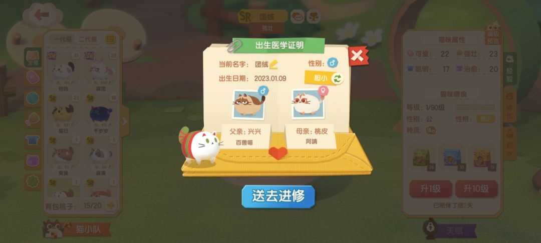动态图片 3