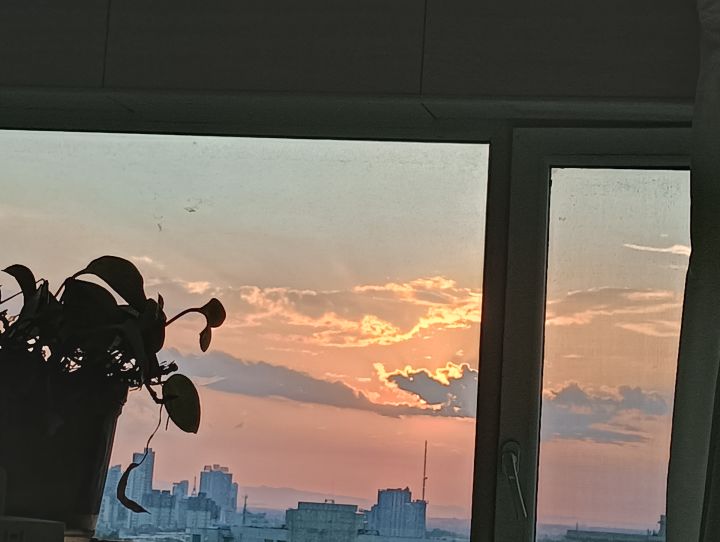随缘风景截图