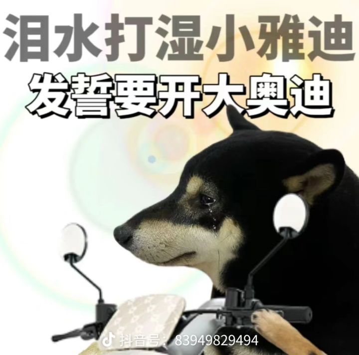 有没有大佬存档给哥们用用啊截图
