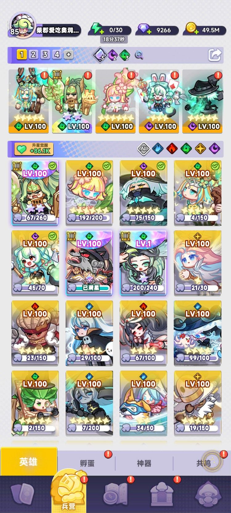 阵容分享 1