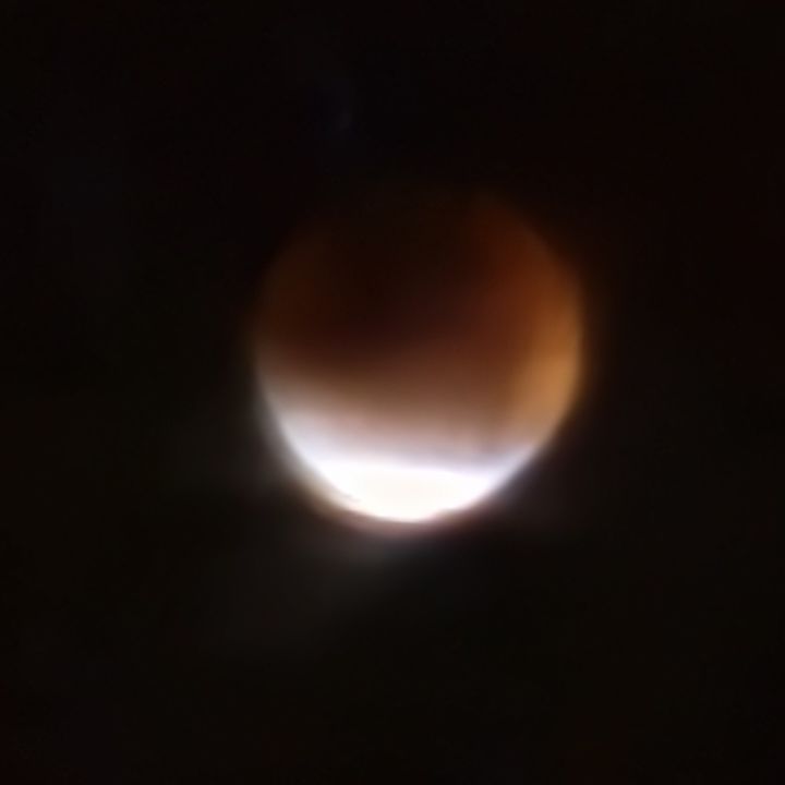 🩸🌙正在升起……截图