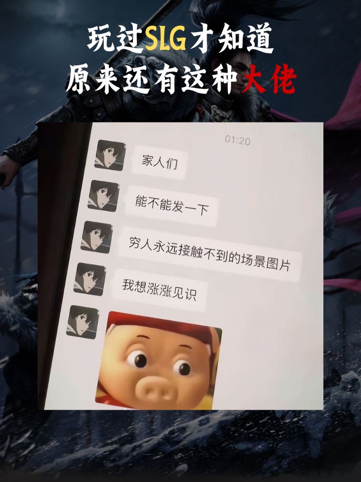 玩过王于兴师才知道世上大佬有这么多 1