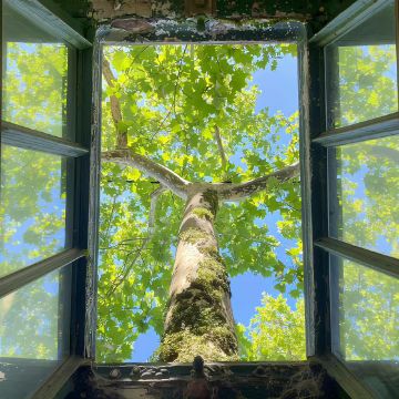 【1011】ios全球购（完结）