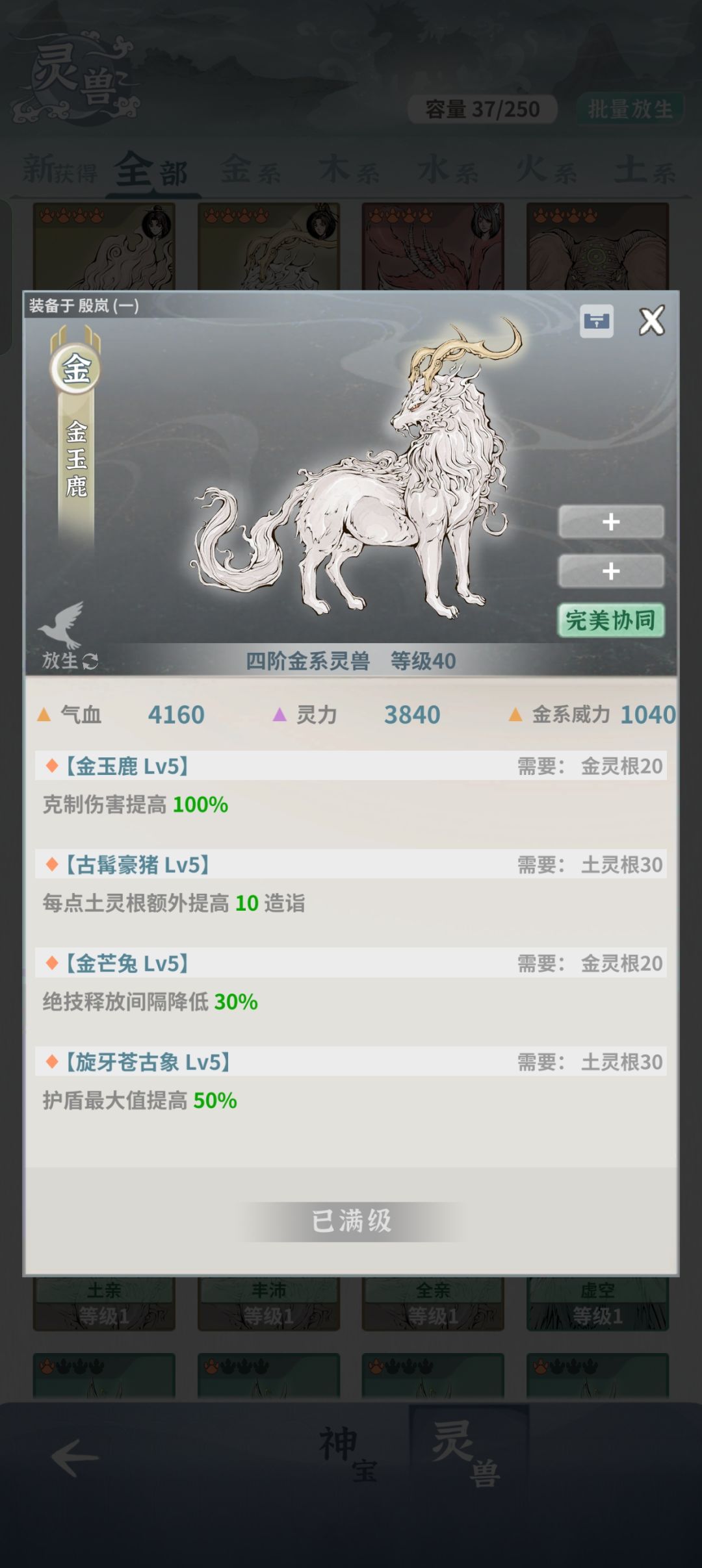 宠物毕业啦, 1