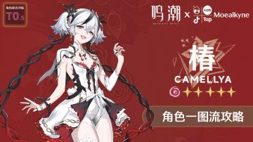 【Moealkyne】椿角色一图流攻略