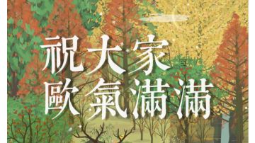 停止更新｜每日抽奖卡池卡片记录！