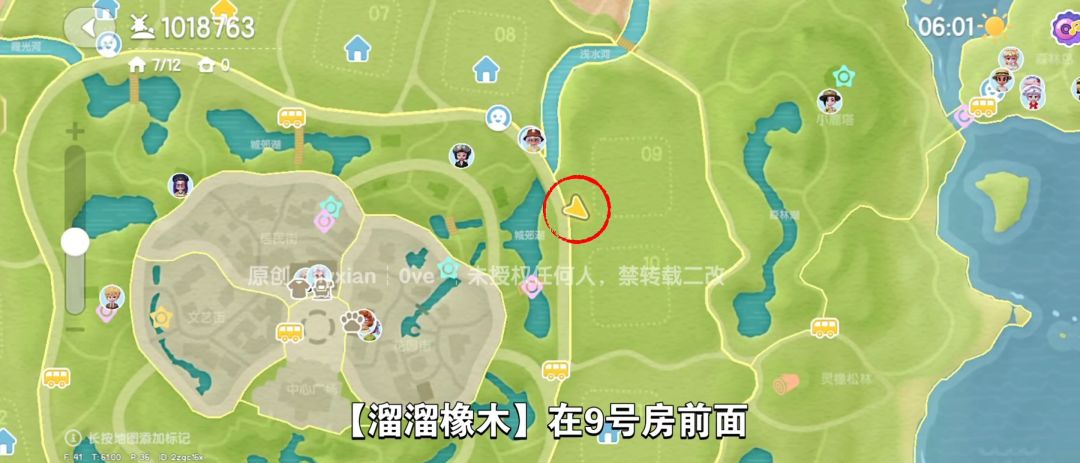 【心动小镇】（7.11）溜溜橡木&无暇萤石 3