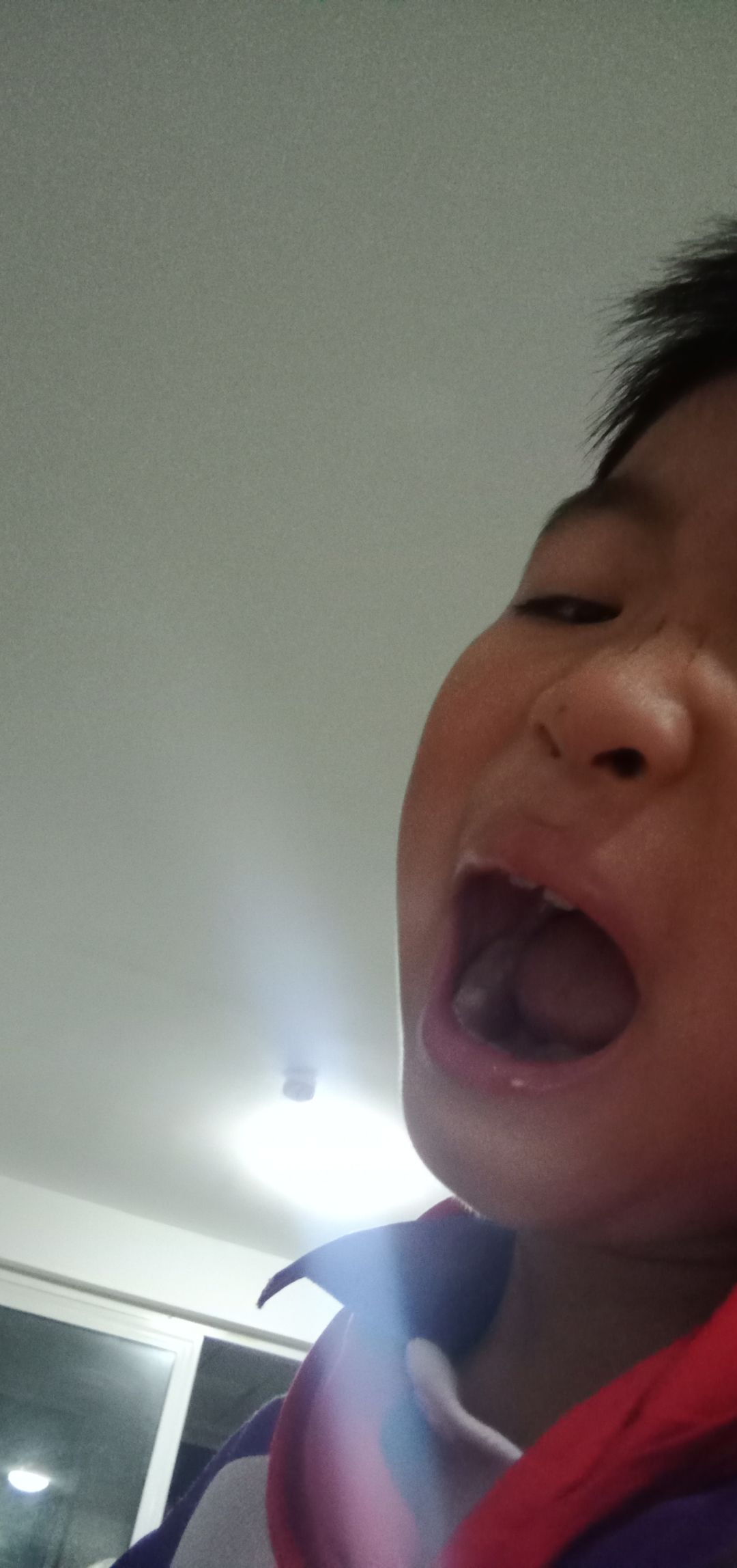 动态图片 6