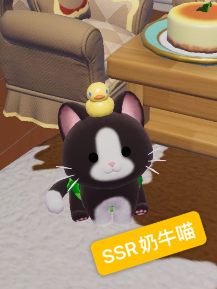 第一次领养就刷到了最可爱的小猫咪!截图