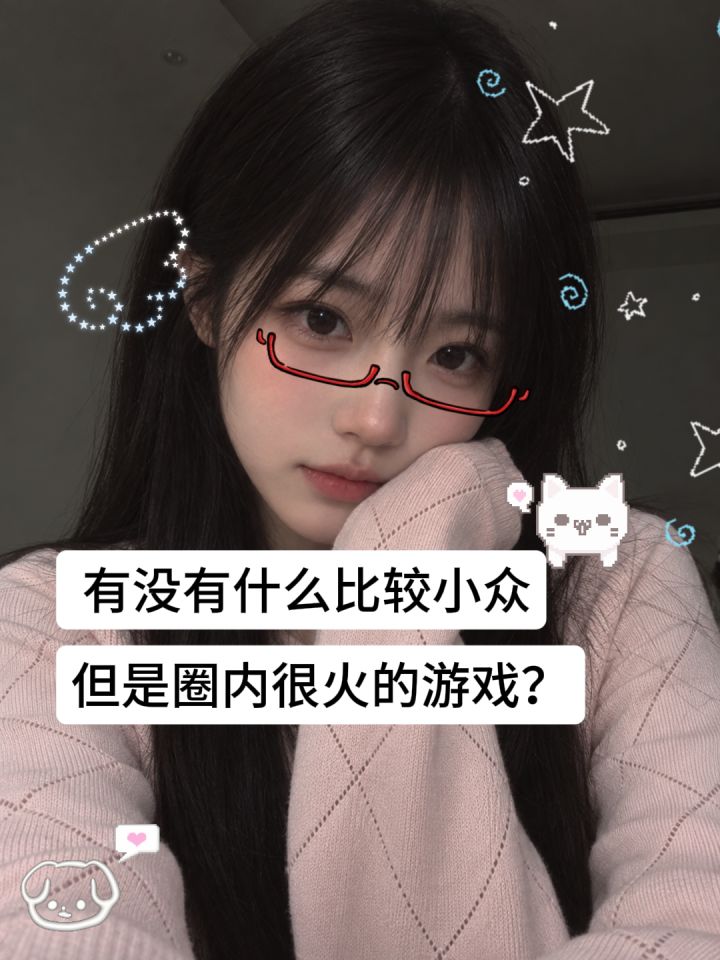 有没有什么比较小众,但是圈内很火的游戏?截图