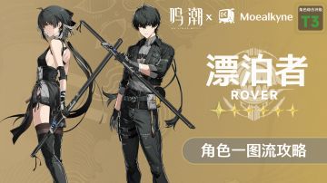 【鸣潮角色攻略】「漂泊者-衍射」一图流 | 角色培养攻略