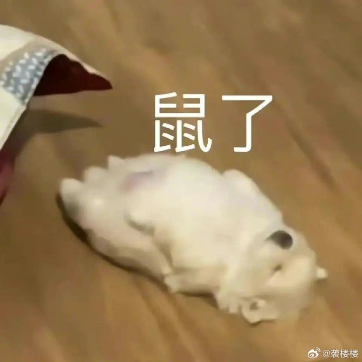 啊?你怎么知道我三十几发出金了?截图