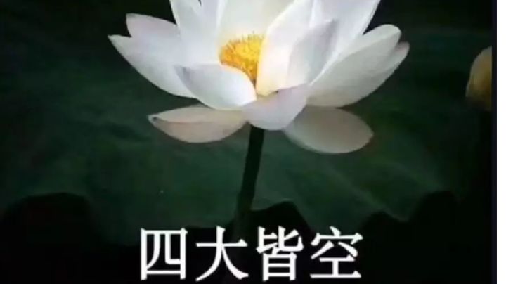 6-20侥幸过了,分享个配队(有王璨)截图