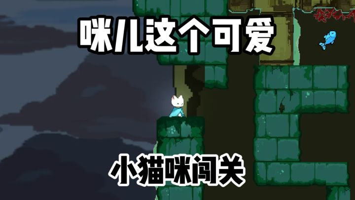 猫咪闯关，真的超级可爱~截图