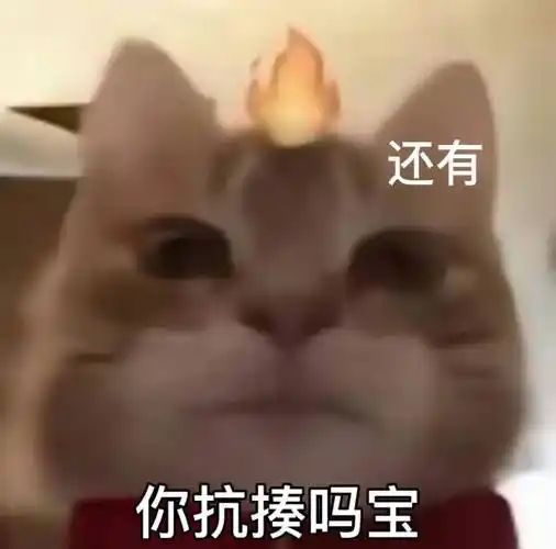 贵族运营有点累，但是收官之战伤害很好看 4