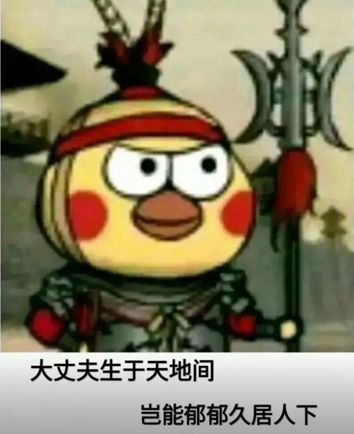 我大明教啥时候调整调整出点新武学截图
