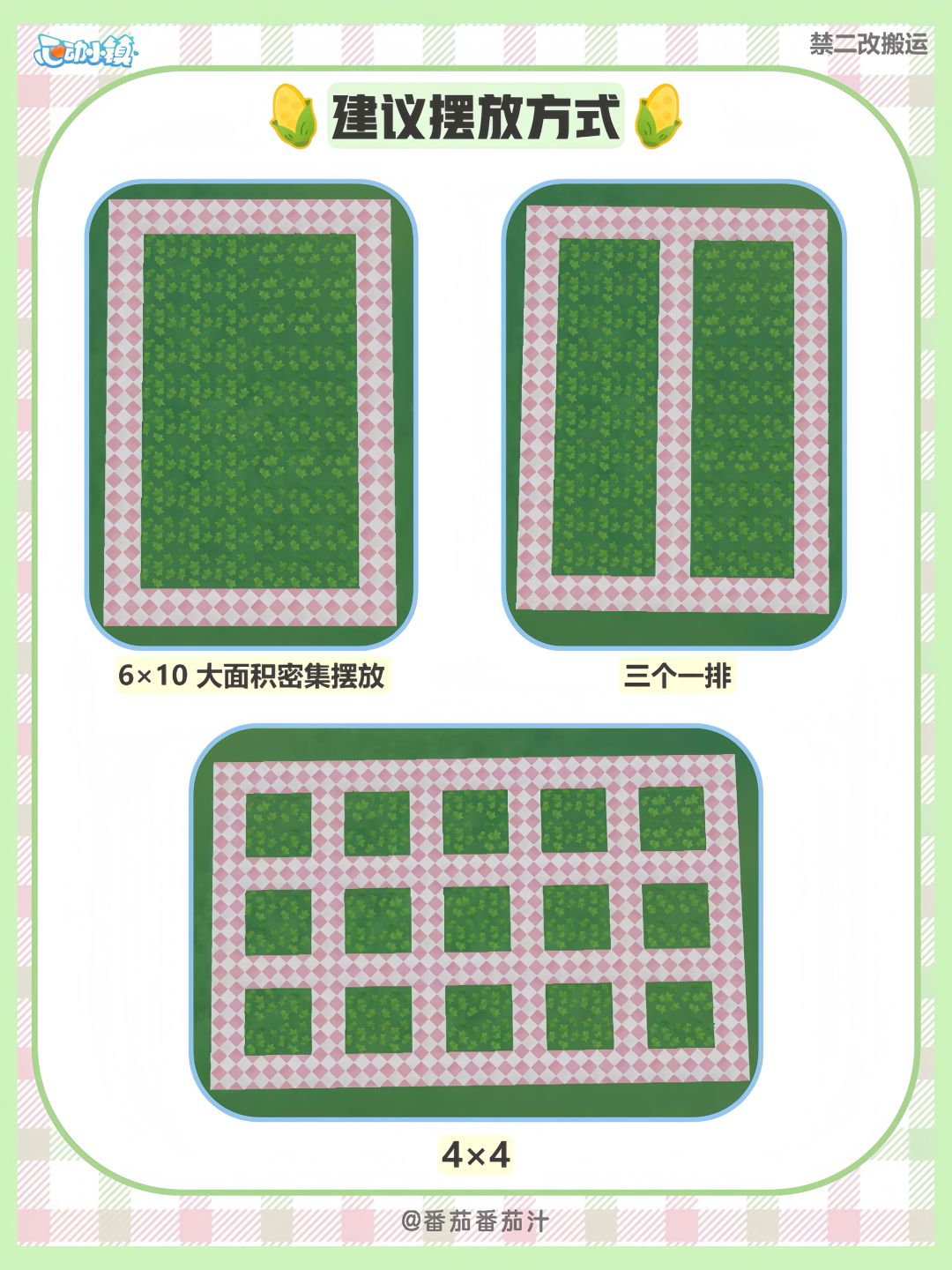 陇上金颂 限定露薇花 杂交攻略图鉴 5