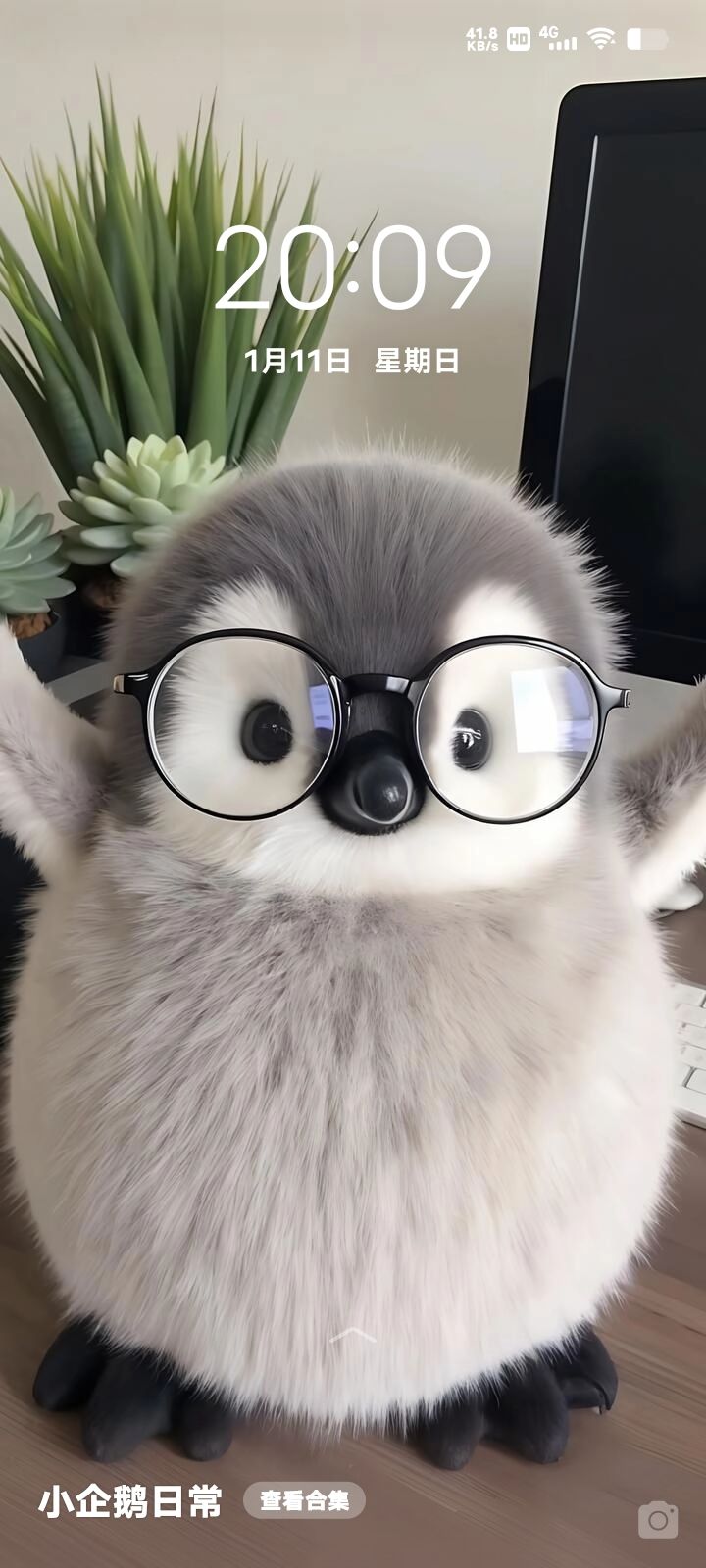动态图片 11
