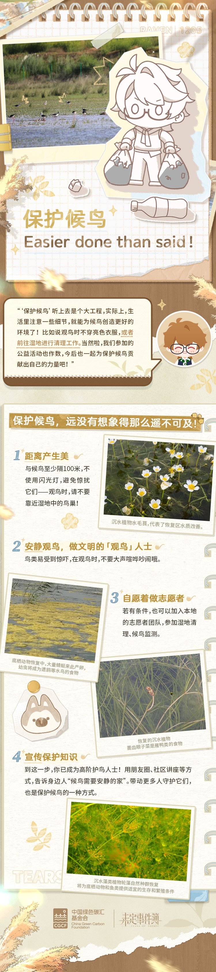 保护候鸟·公益科普 3