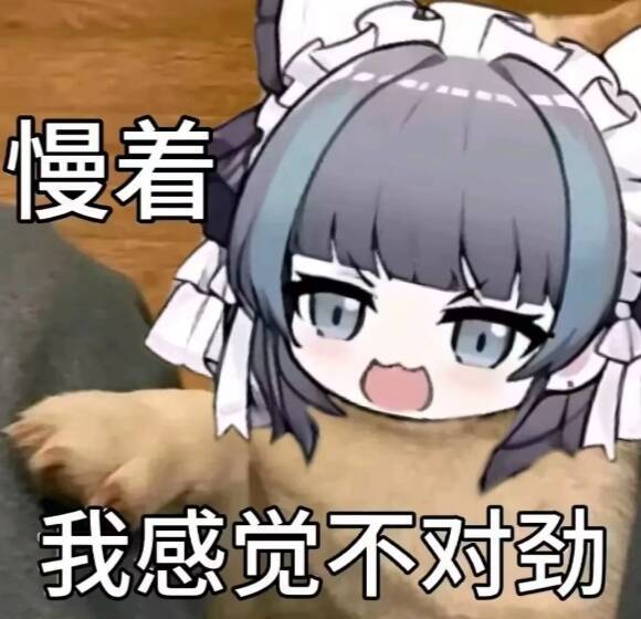 天选版本是真的好追 2