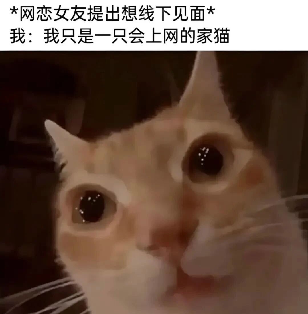 发一波梗图…(10) 5