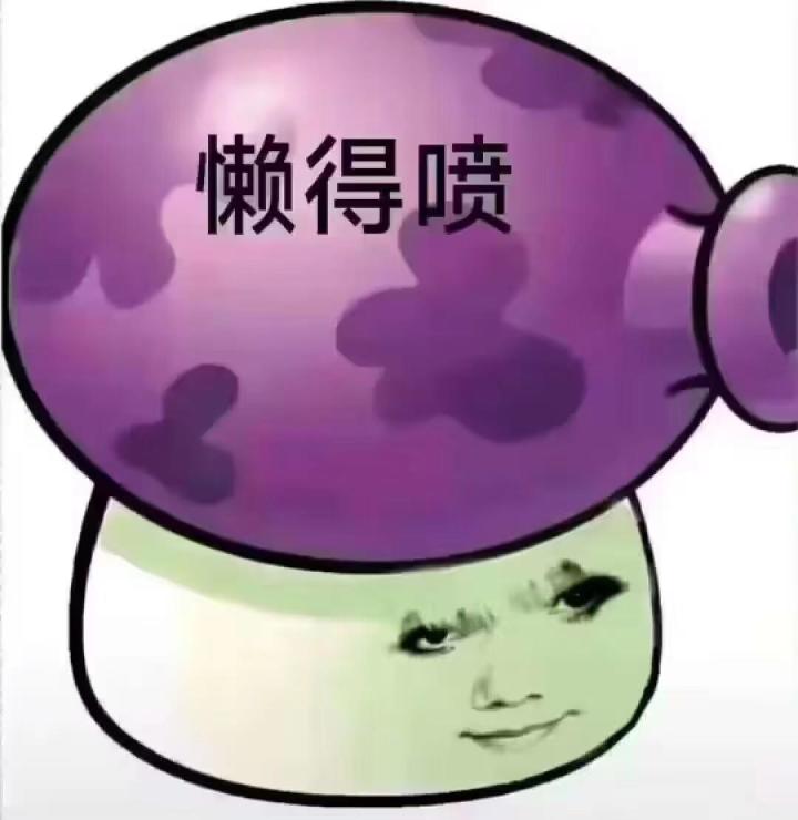 兄弟们,遐蝶队和白厄队哪个更强?截图