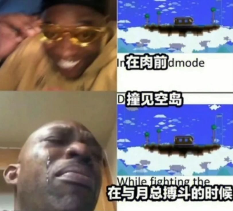 泰拉梗图 3截图